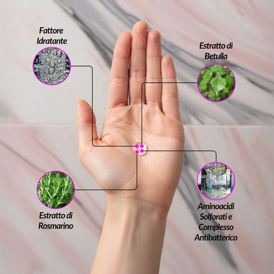 Infografica con gli ingredienti chiave del Tonico Puriastringente Claride fitocosmesi: estratti di Betulla e Rosmarino, complesso antibatterico e fattore idratante.