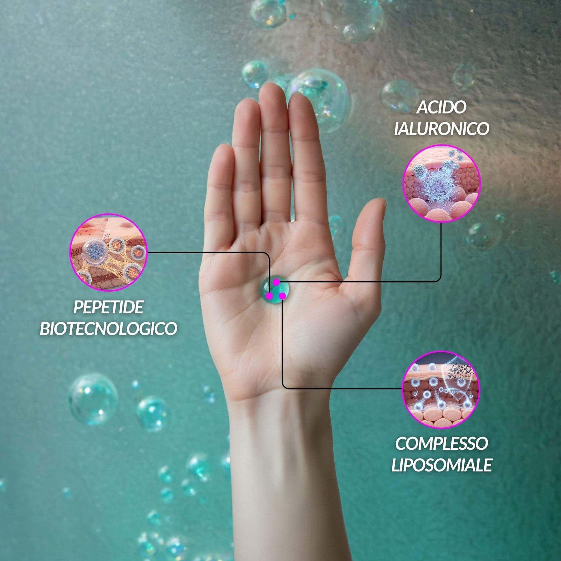 Infografica degli ingredienti del siero viso ai liposomi: una mano mostra l'azione sulla pelle di peptide biotecnologico, acido ialuronico e complesso liposomiale.