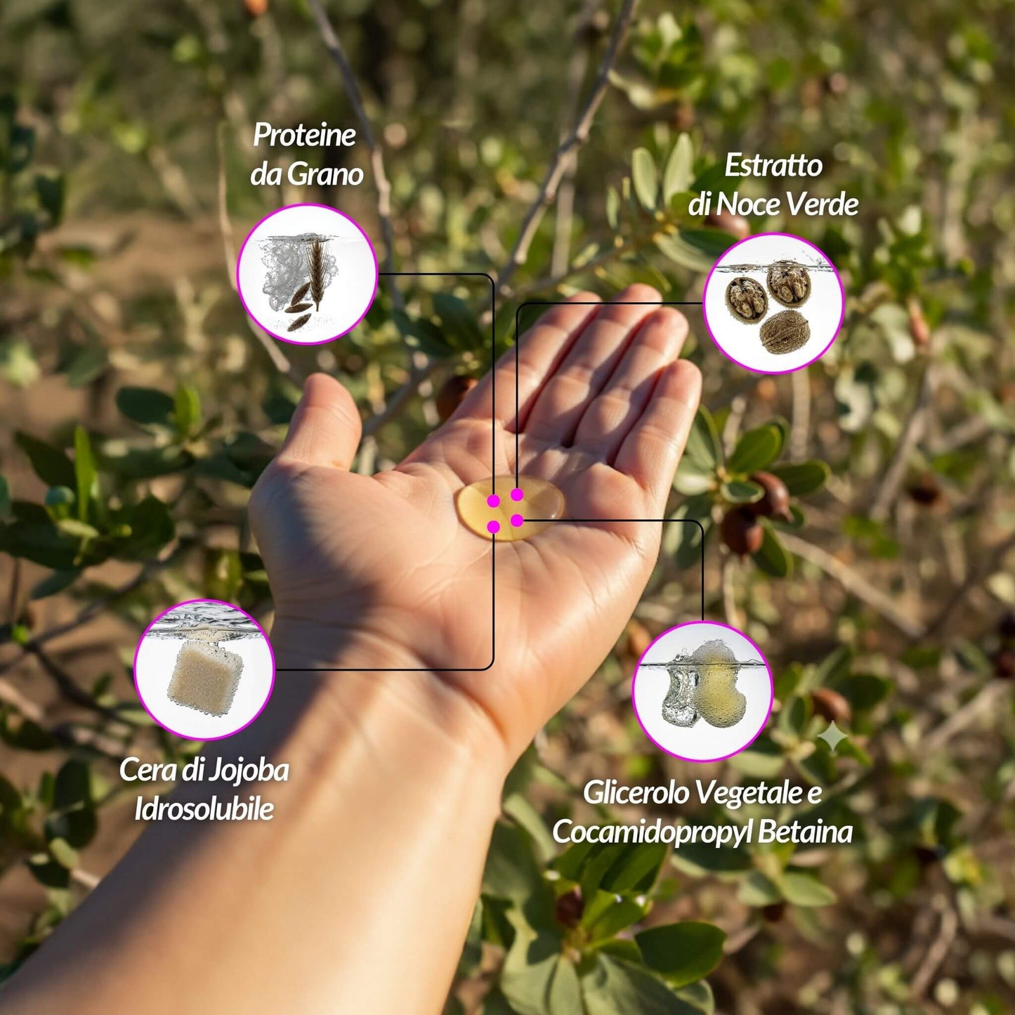 Una mano tiene il prodotto, mostrando gli ingredienti dello shampoo delicato: cera di jojoba idrosolubile, proteine da grano, estratto di noce verde e glicerolo vegetale.