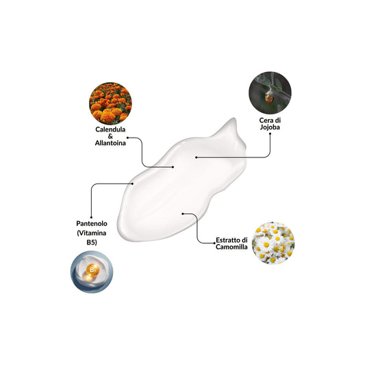 Infografica della texture della Crema Riacidificante Claride Fitocosmesi. Mostra una noce di crema bianca circondata dai suoi ingredienti attivi calmanti e riparatori: Calendula e Allantoina, Pantenolo (Vitamina B5), Cera di Jojoba ed Estratto di Camomilla, su fondo bianco.