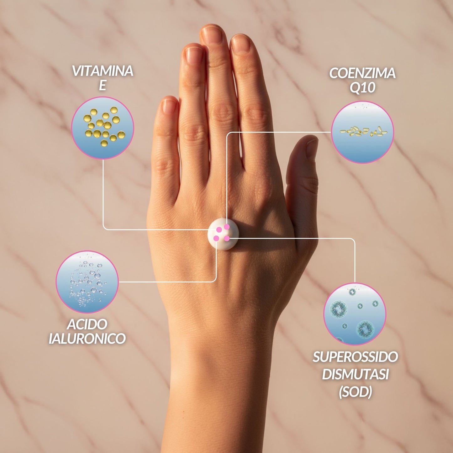 Infografica degli ingredienti della crema SOD antiradicali: Vitamina E, Acido Ialuronico, Coenzima Q10 e Superossido Dismutasi (SOD) visualizzati attorno a una mano.